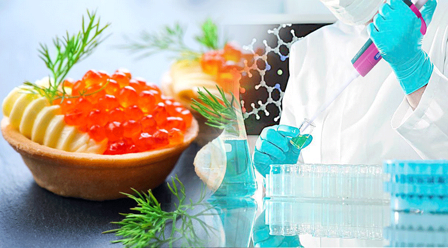 吃貨裝逼指南 | 如何在實(shí)驗(yàn)室做一道奢侈的分子料理